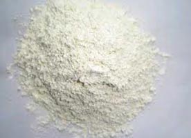 Onion Powder