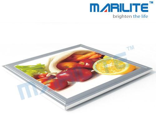 Advertising LED Light Box
