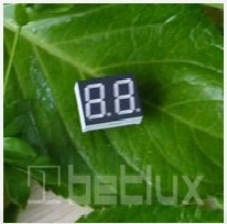 0.30 Inch Double Seven Segment LED Display