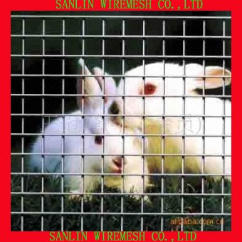 Rabbit Cage Welded Wire Mesh