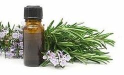 Juniper Essential Oil, Brand Name : Acharya