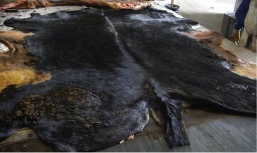 Goat Hides, Sheep Skins