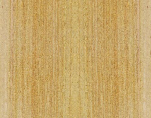 Eucalyptus Wood Veneer