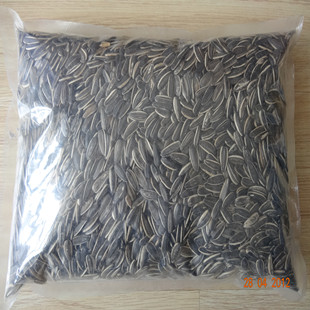 5009 Roasted Sunflower Seeds 24/28, Packaging Type : black