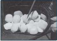 Sodium Cyanide, Potassium Cyanide