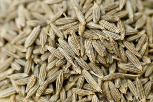 Cumin seeds, Purity :100%