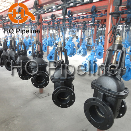 Gate Valves, Surface : Polished