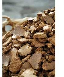 Copra Cake For Animal Feed