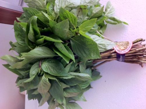 Holy Basil Leaves