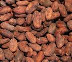 Cocoa beans, Condition : Dried