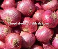 Fresh red onion, Style : Natural