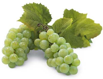 Fresh Green Grapes, Packaging Type : Curated Box, Wooden Box