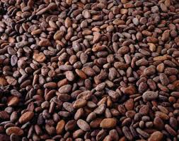 Cocoa beans, Packaging Size : 5-25kg