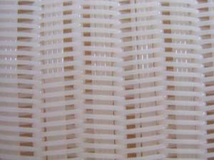 Polyester Mesh