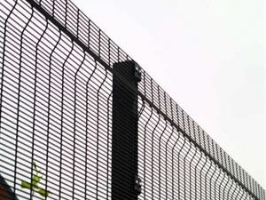 Wire Mesh Fence
