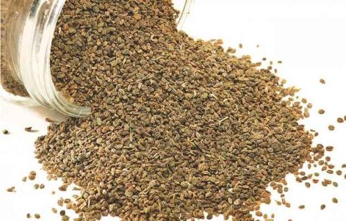 Ajwain