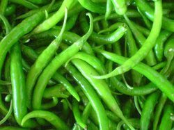 Fresh Green Chillies