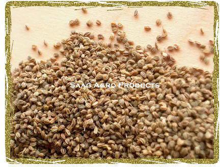 Celery Seeds