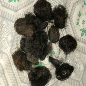 Hair Balls