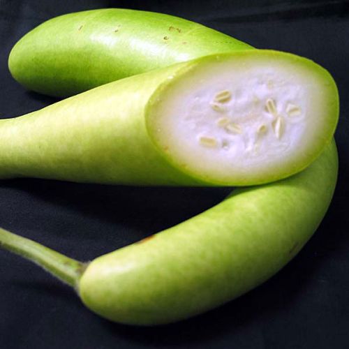 Fresh Bottle Gourd