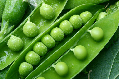 Fresh Peas