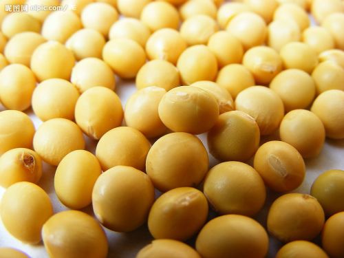Soybean Extract