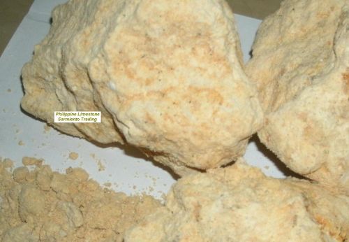 Raw Limestone, Size : 4x4 Ft