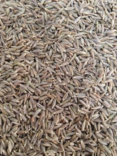 Organic Cumin Seed