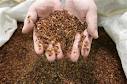 Animal feed, Size : 8 mm