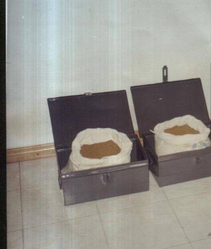 Gold dust, Material : Silicon