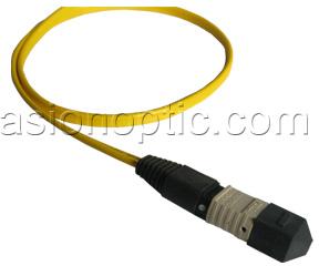 Mpo Fiber Optic Patch Cord