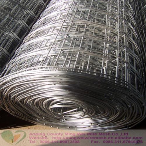 Galvanized Welded Wire Mesh