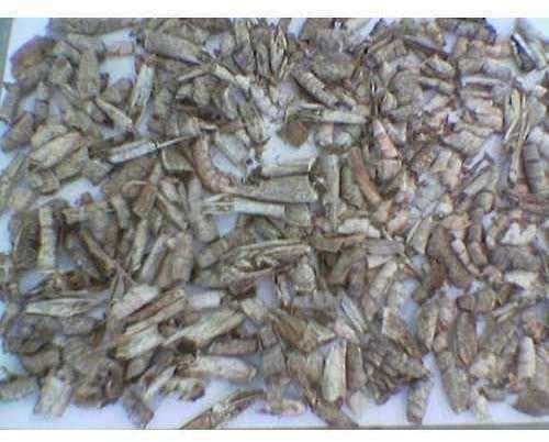 Dried Shrimps Shells, Crab Shells