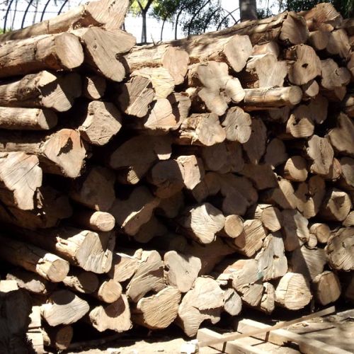 Round Non Polished Sudan Teak Logs, For Making Furniture, Pattern : Plain