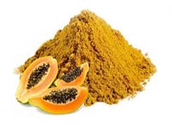 Dehydrated Raw Papaya Powder