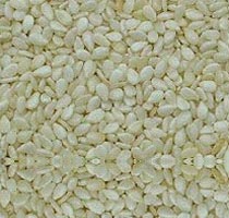 White Sesame Seeds