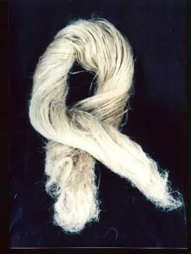Fiber Scutched Flax