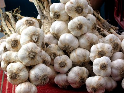 Fresh Garlic, Dry Garlic