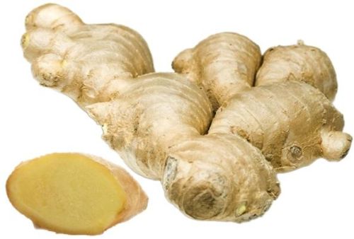 Ginger, Certification : Certificate of origin, Packaging Size : 0.05