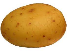 Potato