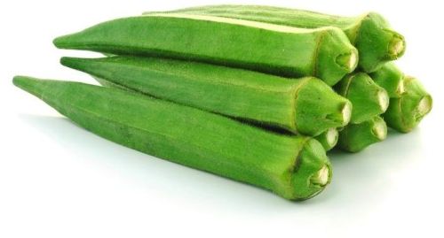 Common Fresh Okra, Color : Green