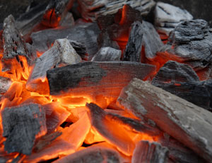 Hardwood charcoal Form : Solid