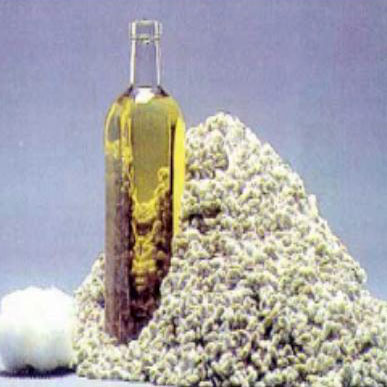 Refined Cotton Oil