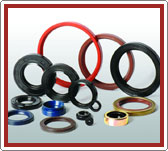 Oil Seals