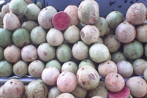 Fresh Pink Guava