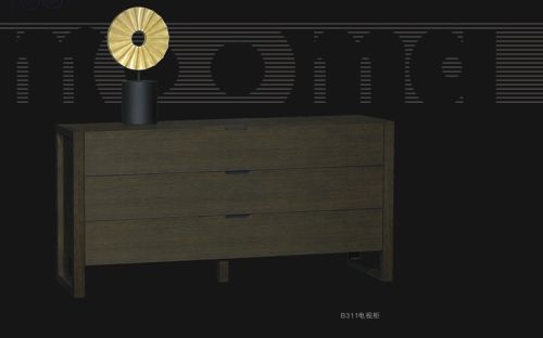 MDF with Oak veneer 2012 New Wooden Display Rack