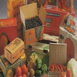 Vegetable Packaging Boxes