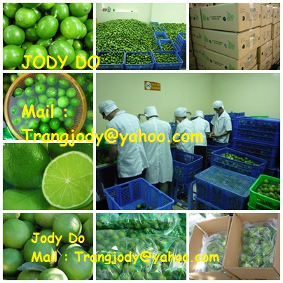 Fresh Lime, Frozen Lime