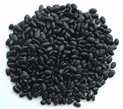 Black Bean Extract