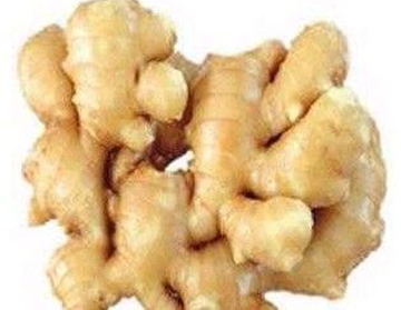 Ginger extract, Brand Name : Staherb